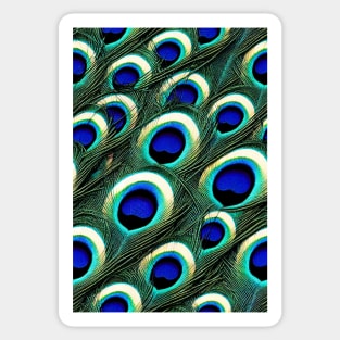 Beautiful colorful Peacock feather pattern - perfect for birdlovers #3 Sticker